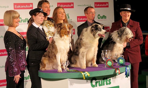 cruftsester.jpg