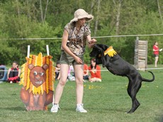 img_0994.jpg