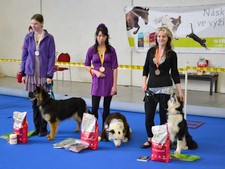 majovy-zavod-dogdancing-praha-letnany-047.jpg