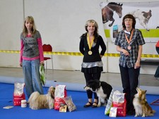 majovy-zavod-dogdancing-praha-letnany-051.jpg