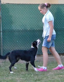 dsc_0035.jpg