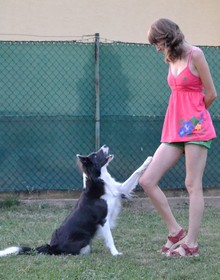 dsc_0058.jpg