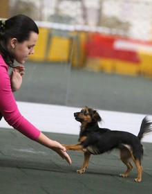 img_8421.jpg