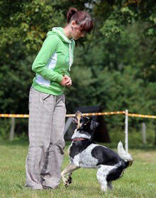 img_9729.jpg