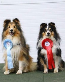 img_8488.jpg