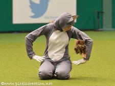 crufts2014-3.jpg