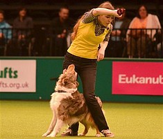 crufts2013.jpg